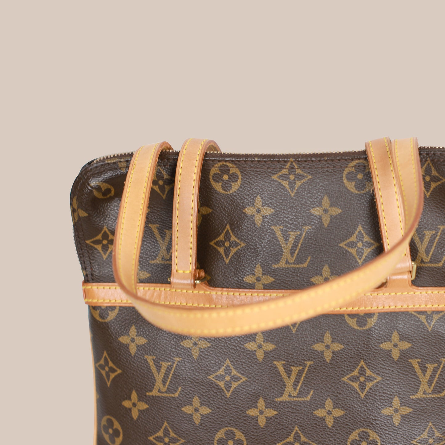 Louis Vuitton Coussin