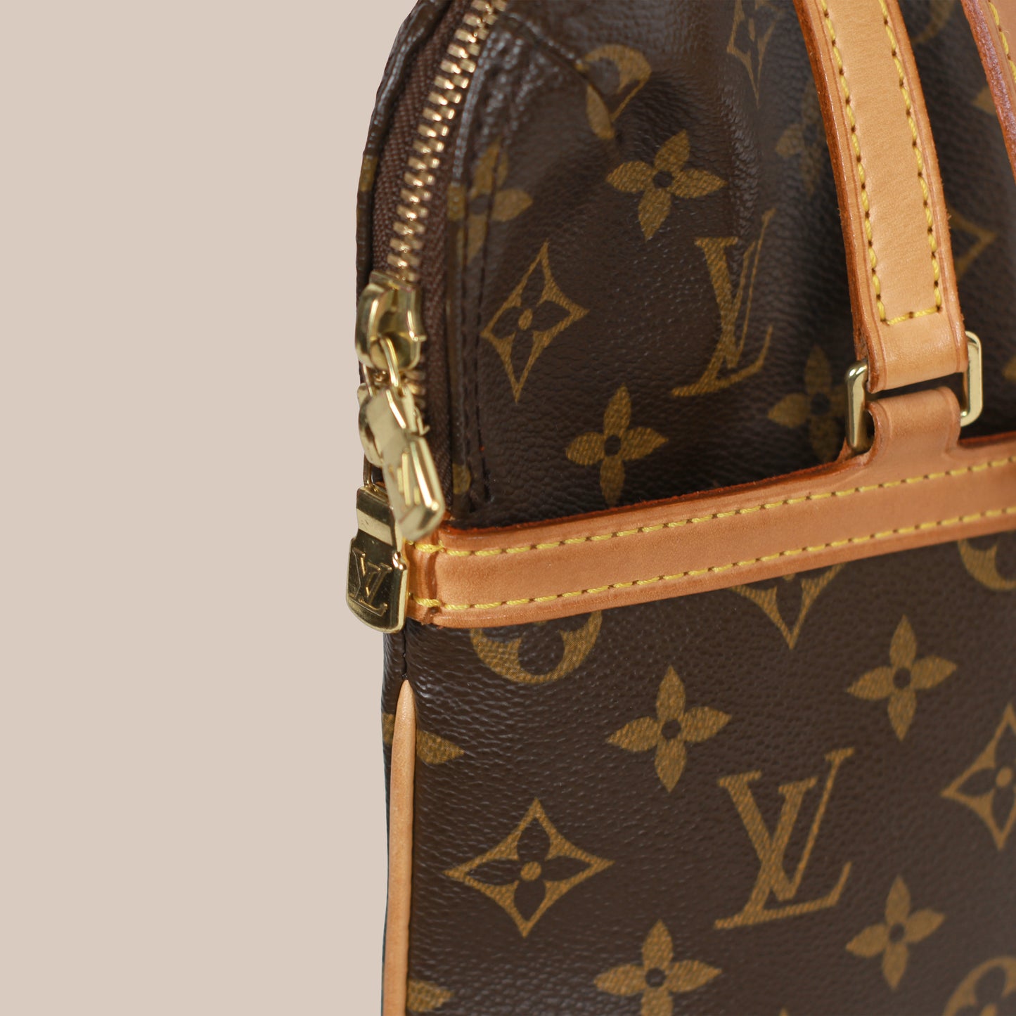 Louis Vuitton Coussin