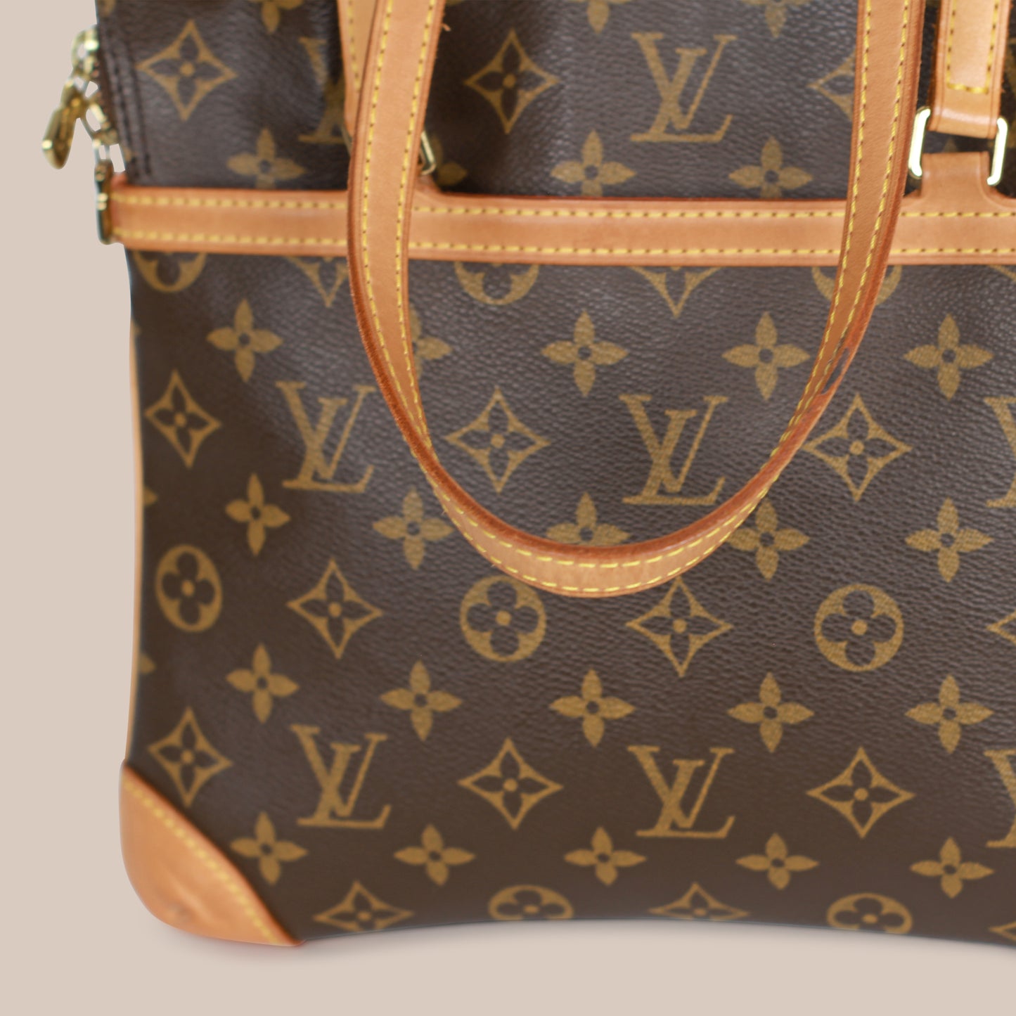 Louis Vuitton Coussin