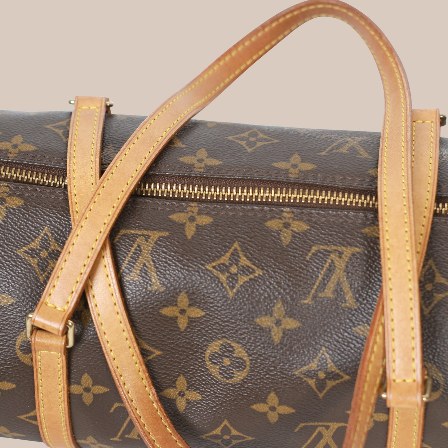 Louis Vuitton Papillon 30