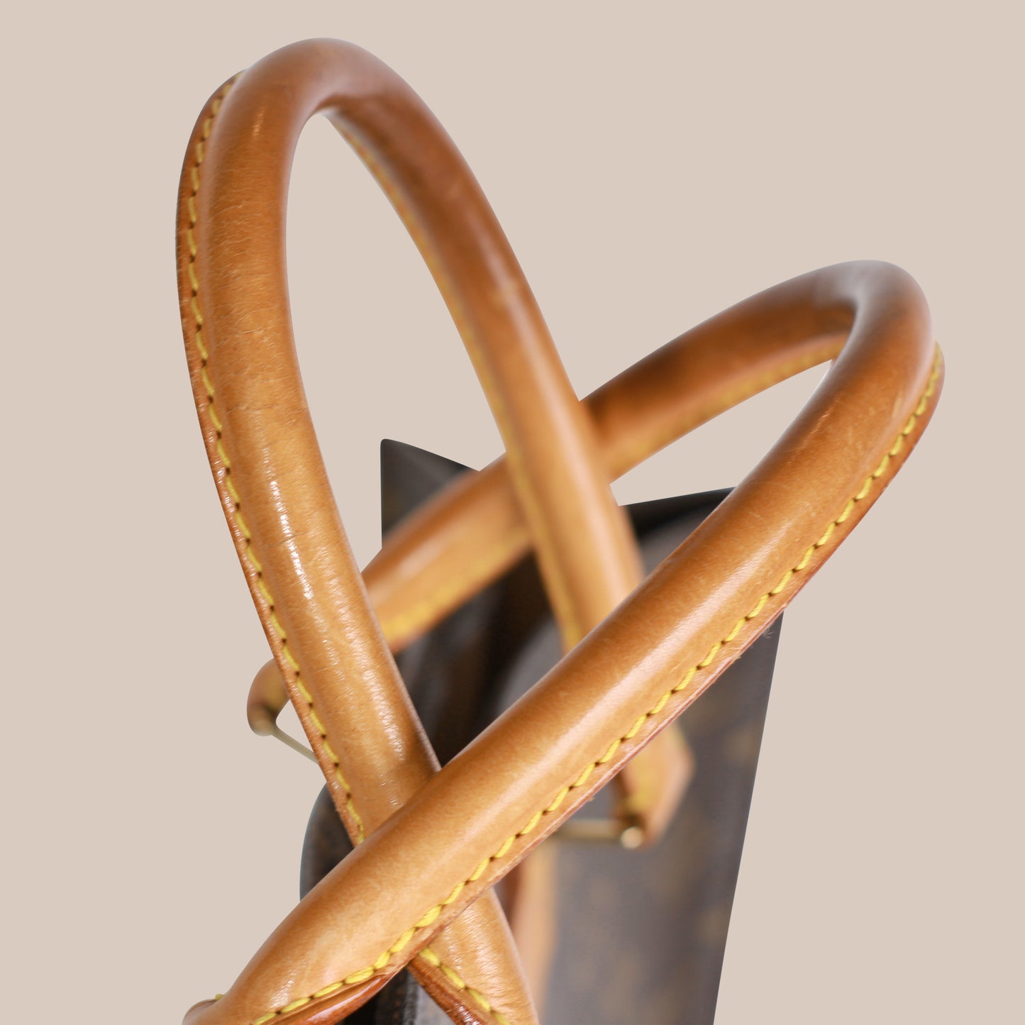 Louis Vuitton Sac Plat