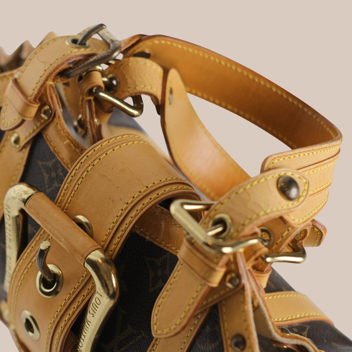 Louis Vuitton Theda PM