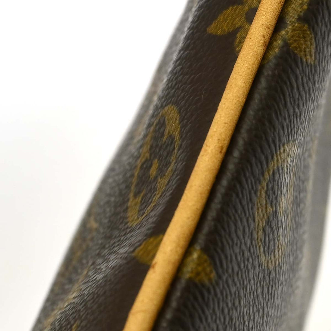 Louis Vuitton Coussin GM in Tela Monogram Vintage