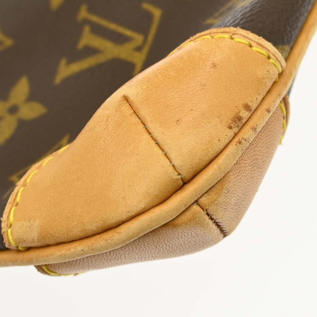 Louis Vuitton Coussin GM in Tela Monogram Vintage