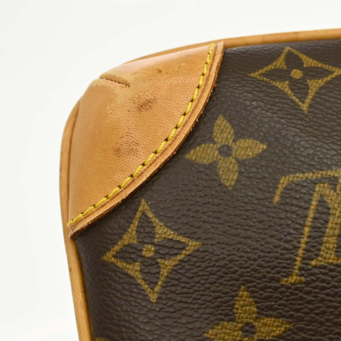 Louis Vuitton Coussin GM in Tela Monogram Vintage