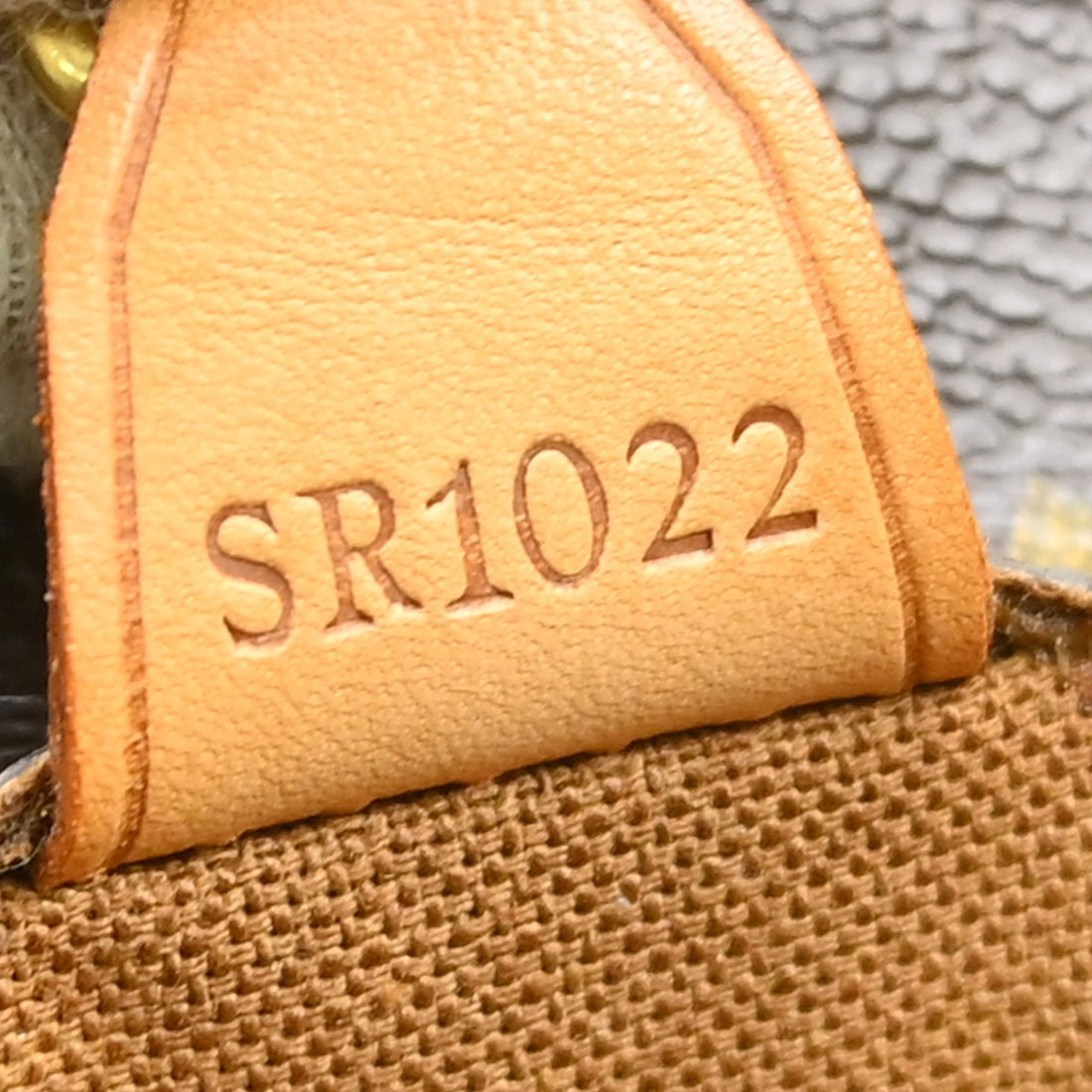 Louis Vuitton Vavin GM in Tela Monogram Vintage