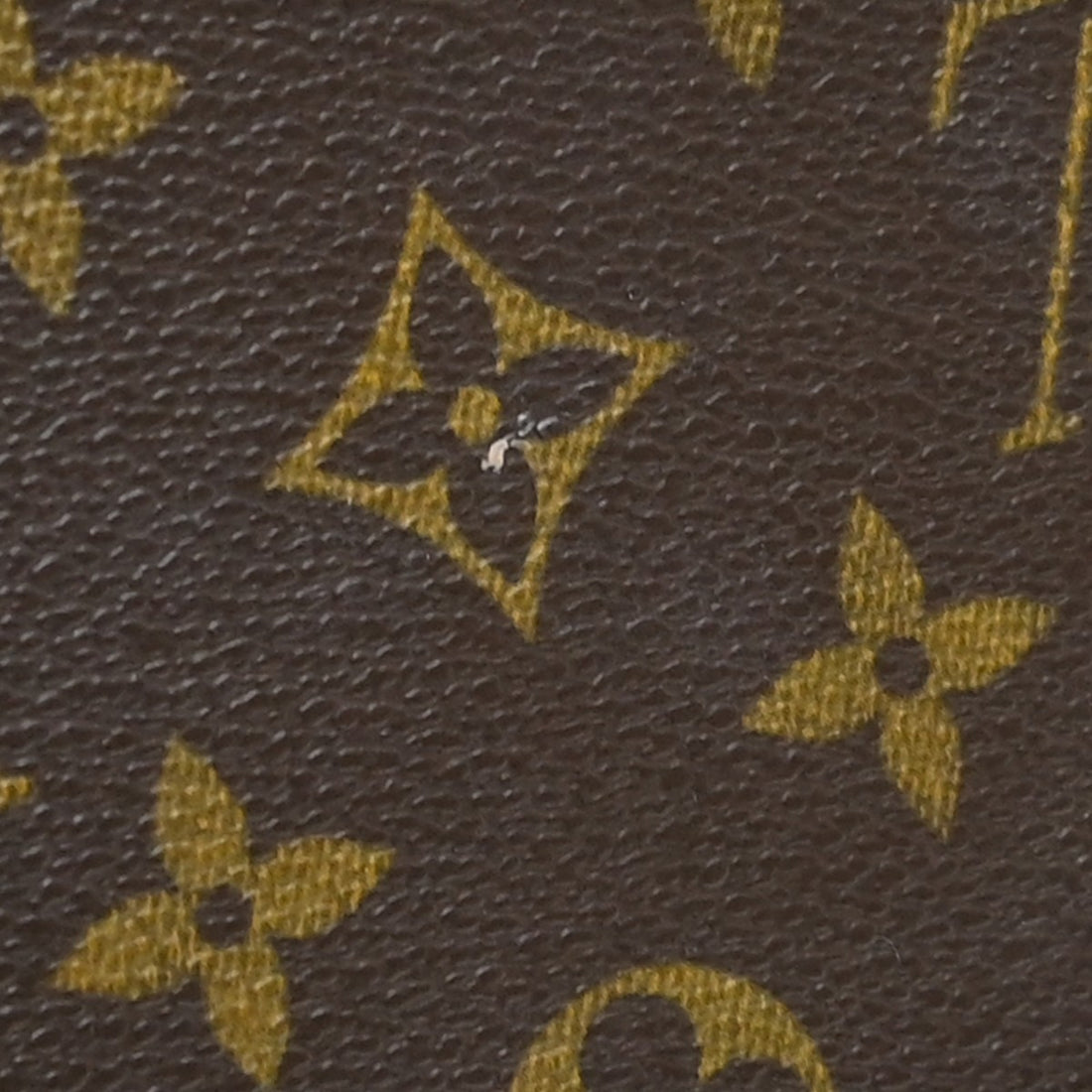 Louis Vuitton Vavin GM in Tela Monogram Vintage