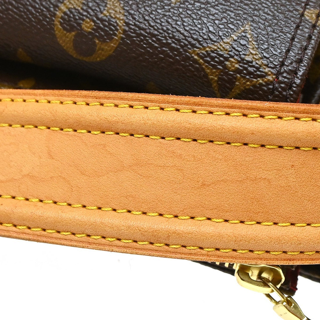 Louis Vuitton Viva Cité GM in Tela Monogram Marrone Vintage