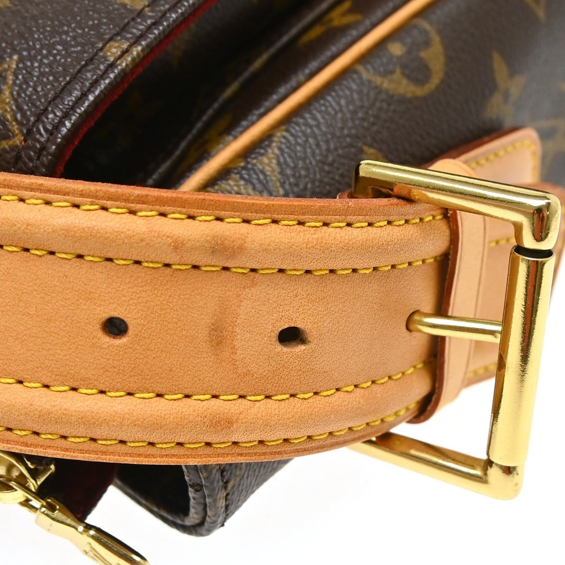Louis Vuitton Viva Cité GM in Tela Monogram Marrone Vintage