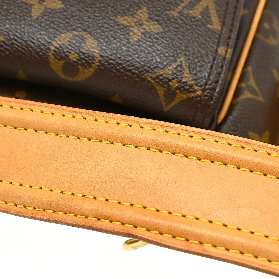 Louis Vuitton Viva Cité GM in Tela Monogram Marrone Vintage