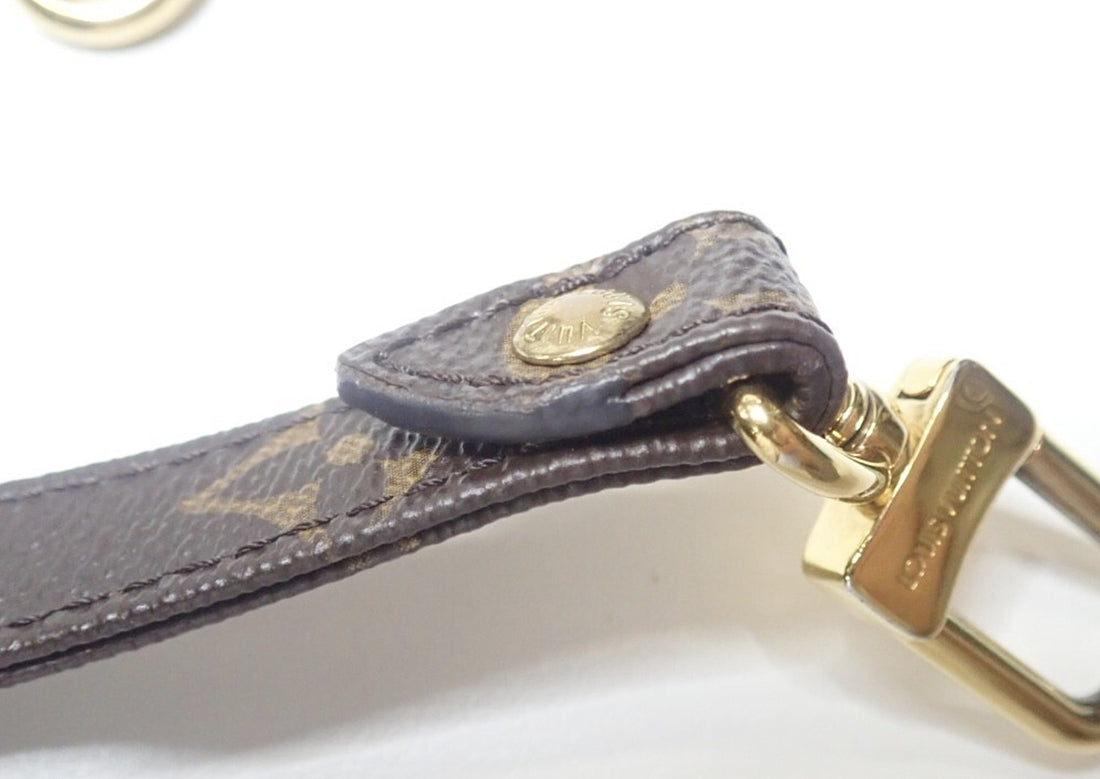 Louis Vuitton Pochette Félicie in Tela Monogram Marrone e Fucsia Vintage