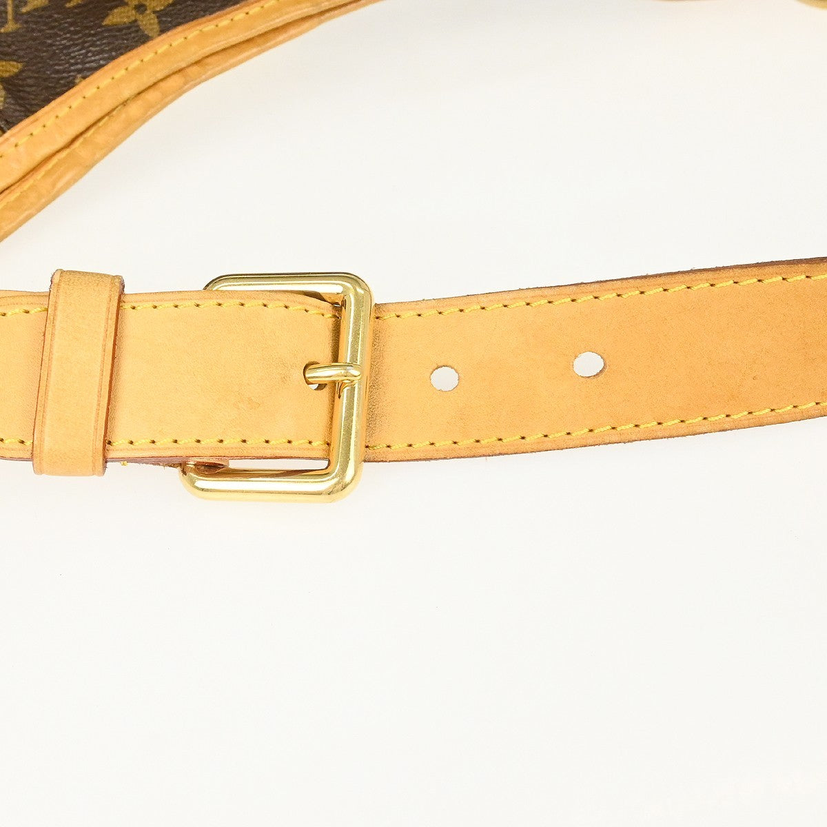 Louis Vuitton Monogram Galliera PM Shoulder Bag