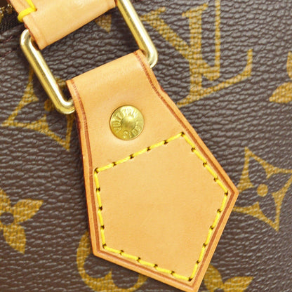 Louis Vuitton Alma Handbag Monogram