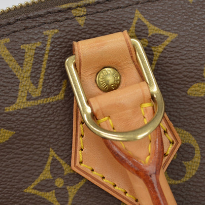 Louis Vuitton Alma Handbag Monogram