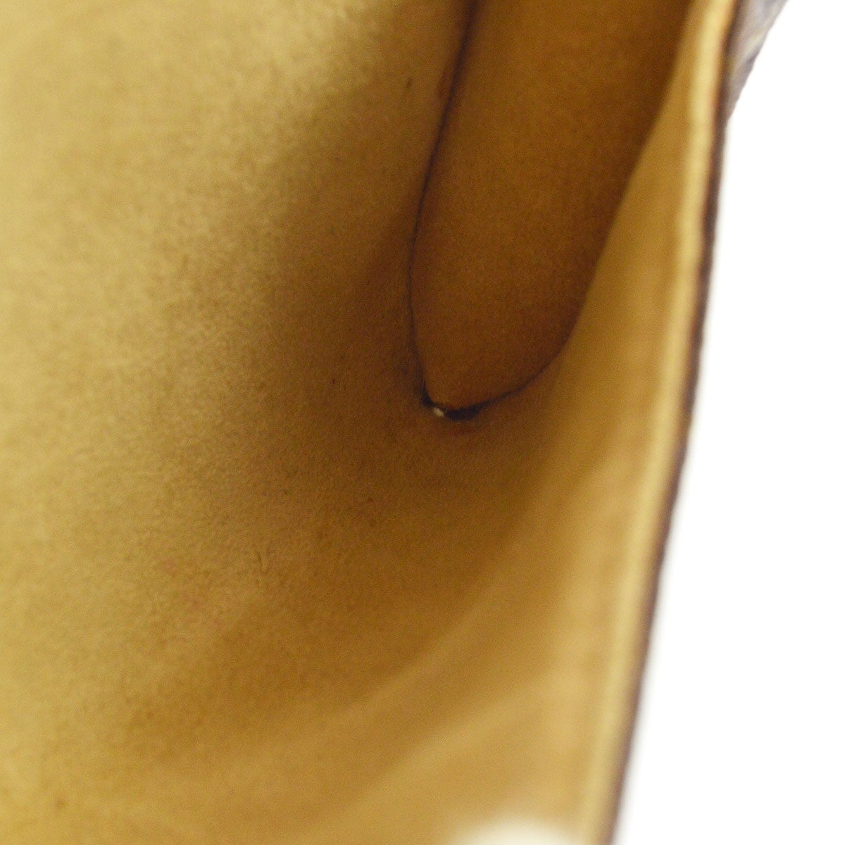 Louis Vuitton Pochette Twin PM Shoulder Bag