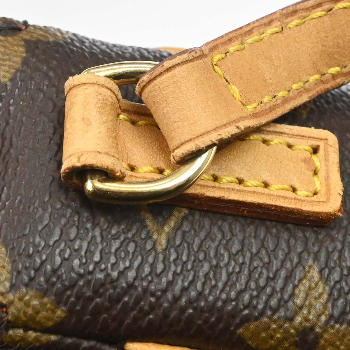 Louis Vuitton Monogram Recital Handbag