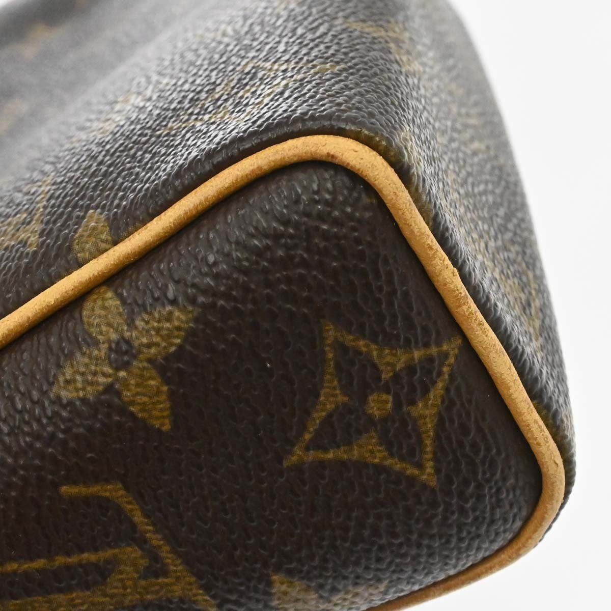 Louis Vuitton Monogram Recital Handbag