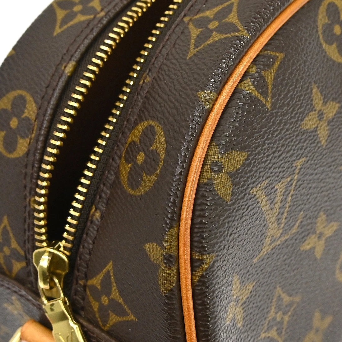 Borsa Louis Vuitton Monogram Blois Crossbody Bag Vintage in Monogram Canvas, Leather Marrone