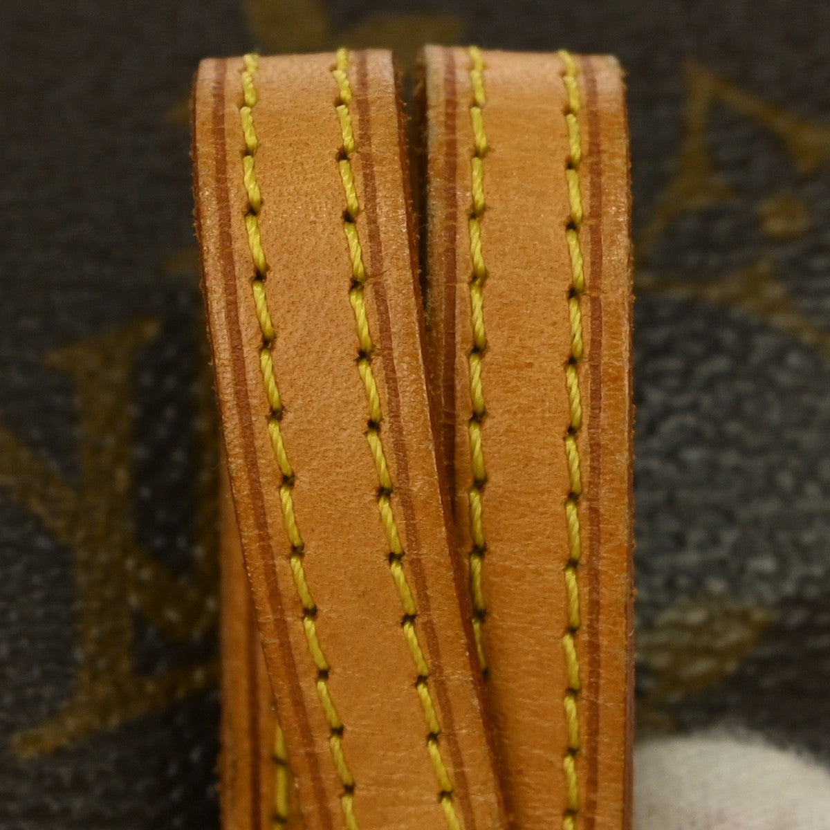 Louis Vuitton Pochette Twin PM Shoulder Bag